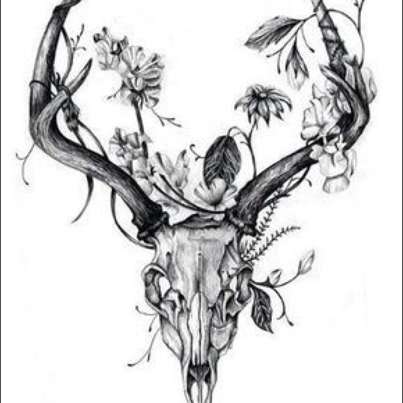 Meet your Posher, Cory - Picture 1 of 1